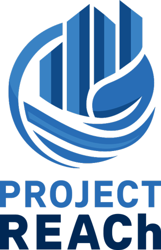 Detroit Future City logo